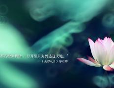 开云体育入口-武切维奇赛后评分拉满！鹈鹕三分雨浇灭黄蜂反扑，攻防一体诠释现代中锋新解