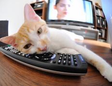 开云体育中国-奥运前哨战，拉文40分接管关键局，尼克斯掀翻绿衫军