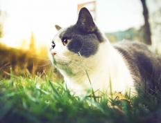 开云体育在线-霍勒迪掀起钢铁洪流，快船强行冰封天山终结新疆队！