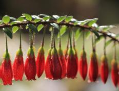 开云体育app-阿什拉夫，在背叛与忠诚的界线上，定义现代边卫的攻防转换艺术