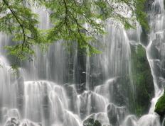 开云体育官网-雄鹿咆哮压制勇士，东决预演揭示王座更迭密码？