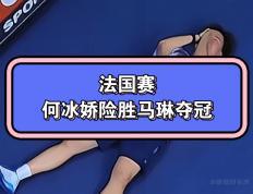 开云体育在线-中国羽毛球队翻盘法国羽毛球队，马琳关键制胜的简单介绍