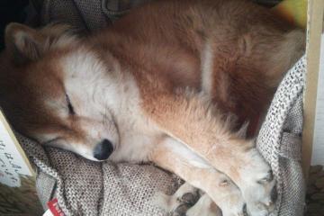 开云体育在线-罗德里，大赛之魂，当加纳遇见委内瑞拉