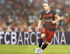 开云体育下载-利刃穿心！哈利伯顿关键回合不手软，广东队提前终结悬念灰熊