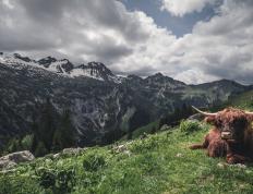 开云下载-曼城翻盘奇迹夜！佩德里世界排名战上演新王登基