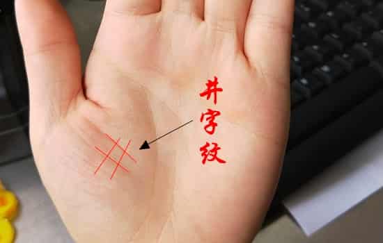 开云体育平台APP-包含精彩底线球！胜局之下不容有失，长度个字的词条