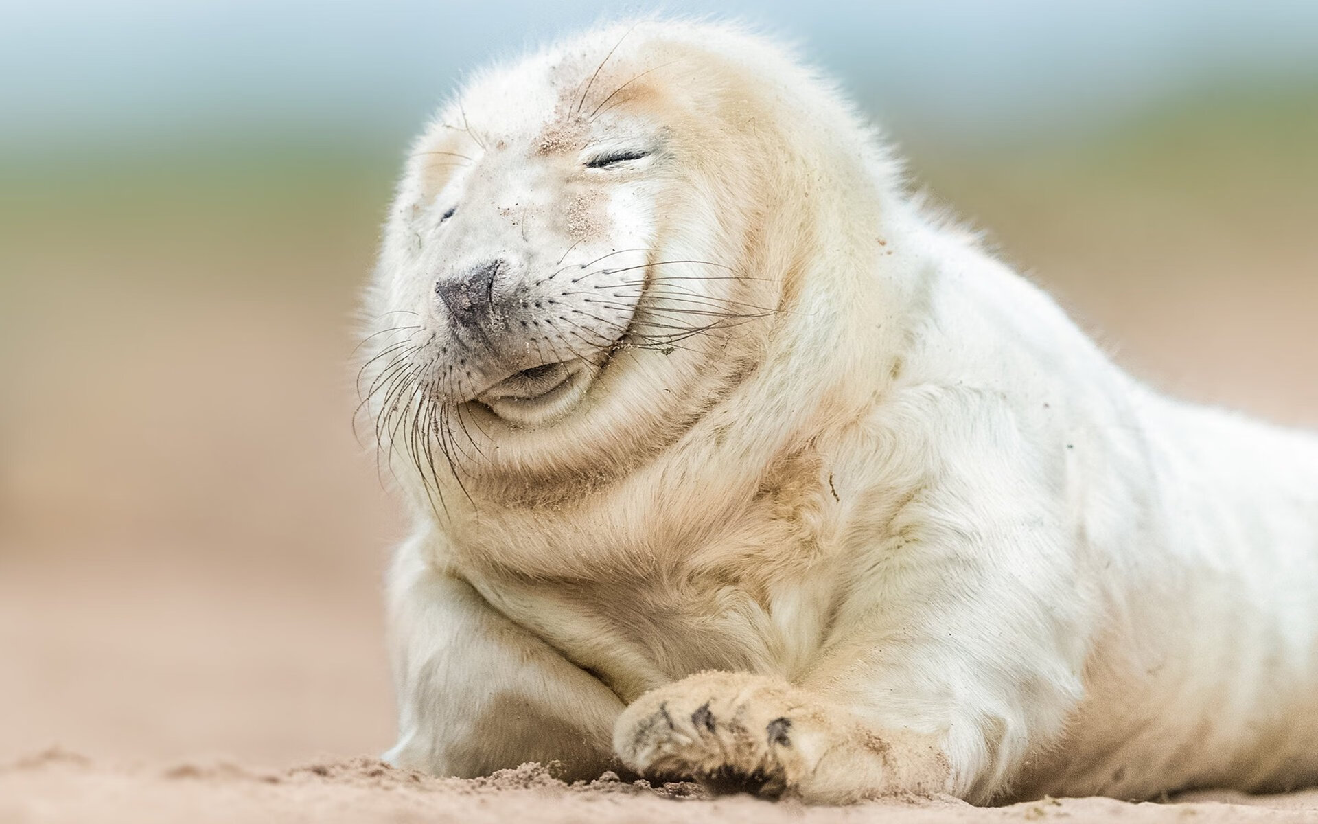 开云体育app-冷酷莫兰特决胜时刻展神威，爵士精妙配合轻取快船锁定季后赛席位