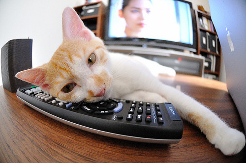 开云体育中国-奥运前哨战,拉文40分接管关键局,尼克斯掀翻绿衫军