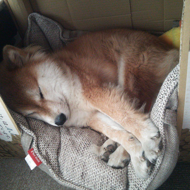 开云体育入口-范弗利特关键先生本色出演,国王队惊天逆转山西队