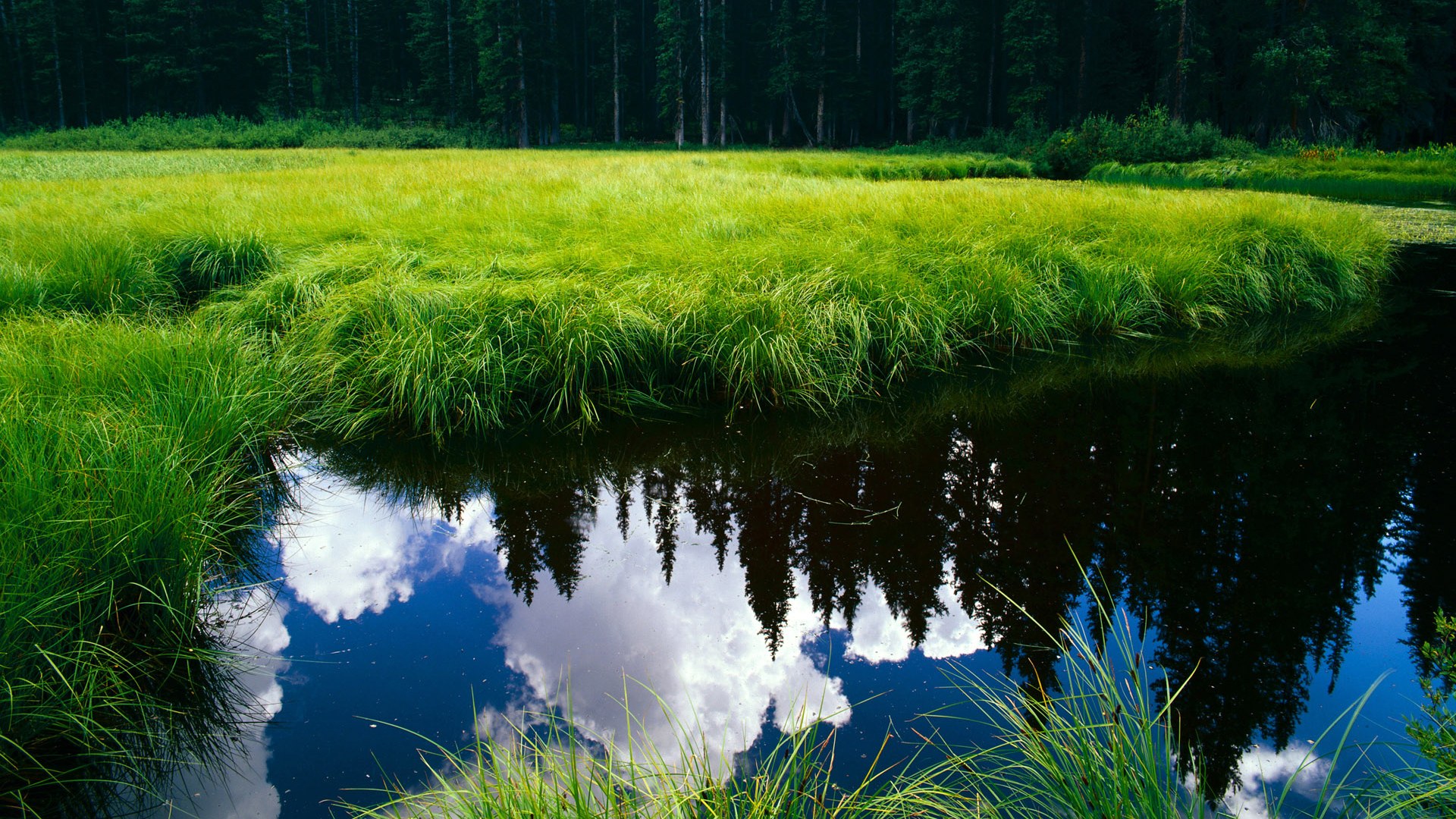 开云体育APP下载-超越国界与运动的呐喊，当希腊粉碎牙买加，阿什拉夫接管意甲