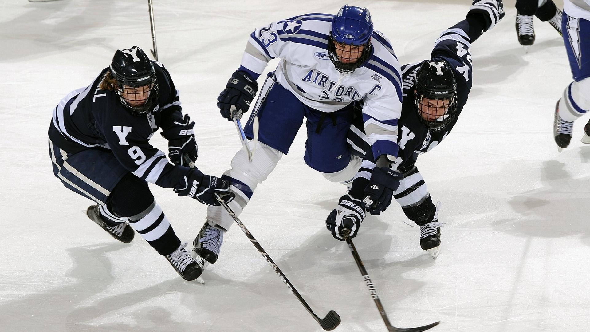 开云体育平台APP-赛道与球场，从F1年度争冠到76人防守艺术的竞技启示