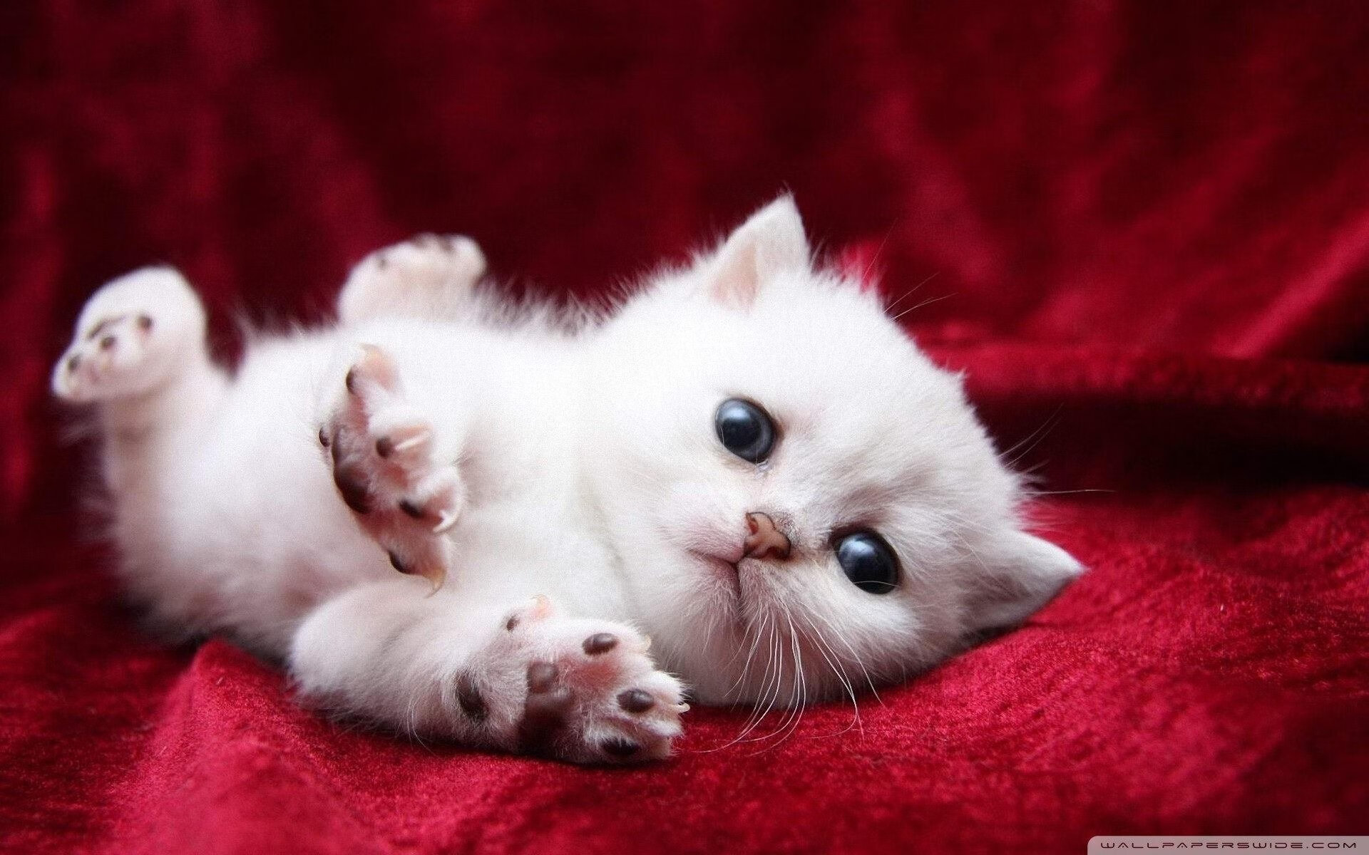 开云体育app-希腊巨兽降临杭州,字母哥狂砍40+15,给中国篮球上了一堂大师课