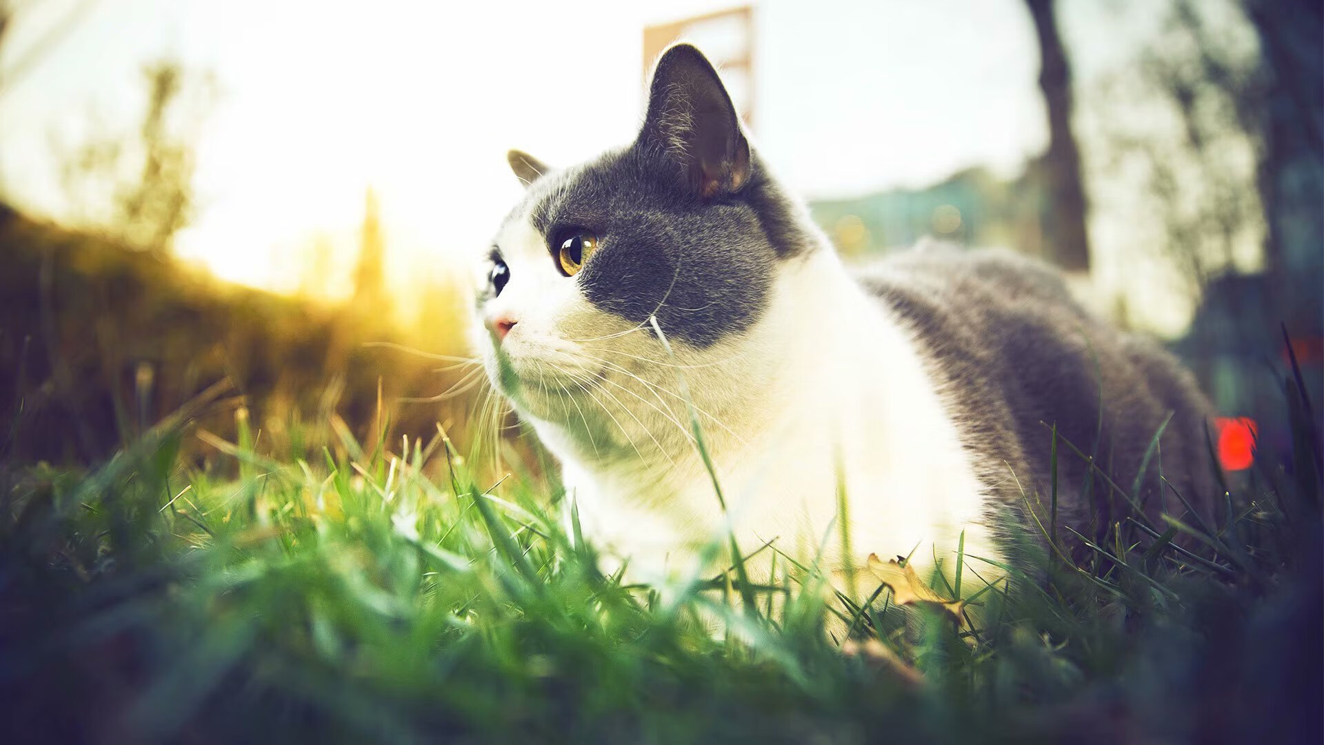 开云体育在线-霍勒迪掀起钢铁洪流，快船强行冰封天山终结新疆队！