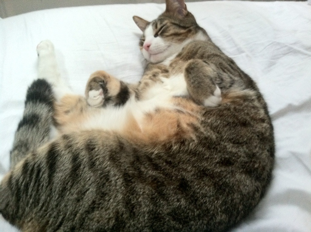 开云体育下载-桑巴风暴掀翻蓝武士，巴斯托尼刷新后卫助攻纪录