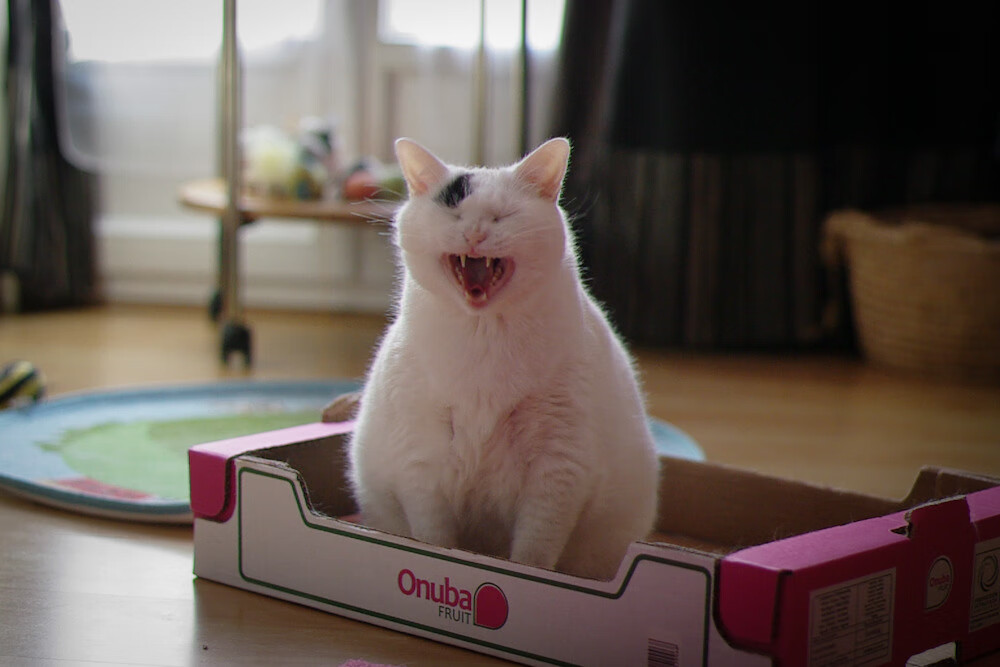 开云官网-舞台与闪电,当基米希遇见巴拉圭—论宏大叙事下的瞬间决胜