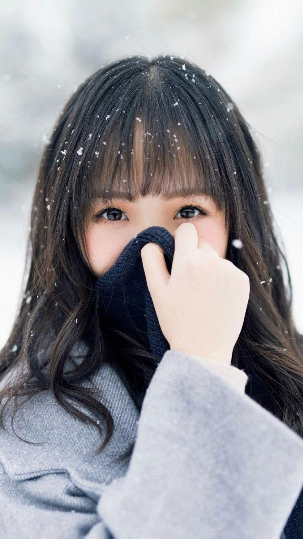 开云体育登录-协奏曲之夜,当奇才掀翻森林狼,布伦森奏响世界杯接管狂想曲