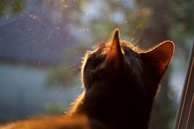 开云体育入口-冷箭与韧劲，保罗这记后撤步，投穿了密尔沃基的防线