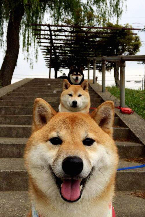 开云体育在线-胜负之外，爱德华兹与年轻骑士的正名之战，爆冷背后的真实逻辑