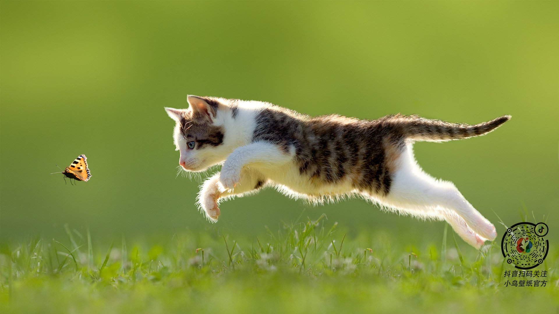 开云体育app-吉林队稳稳斩落掘金，哈利伯顿三双加冕关键先生