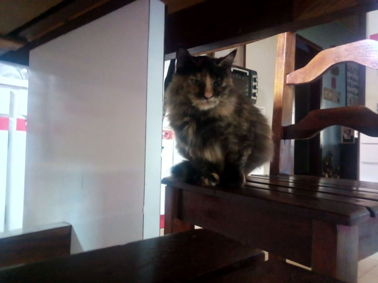 开云体育app-数据之王，欧冠半决赛之夜，卡拉斯科用统治级表现导演逆转